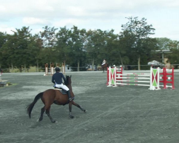 Reitturnier Horitschon 2022