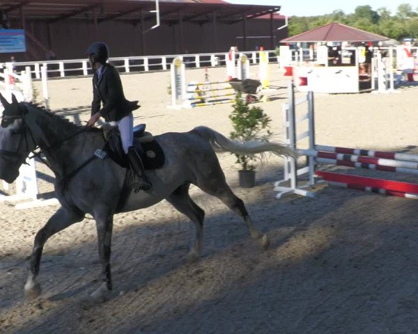 Reitturnier Gundelfingen 2022