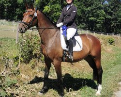 jumper Zazu R (Westphalian, 2018, from Zoom)