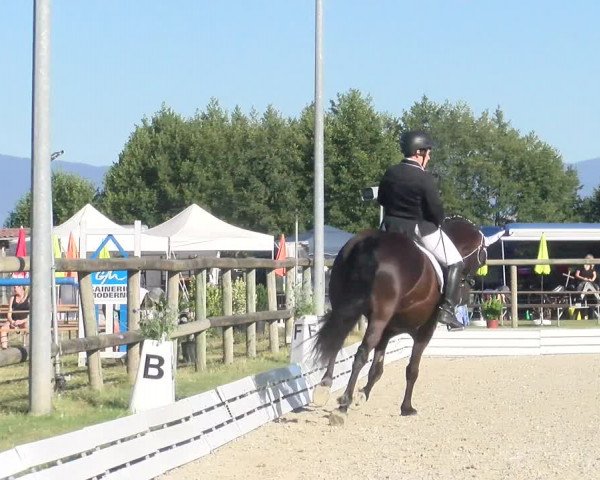Reitturnier Dompierre 2022