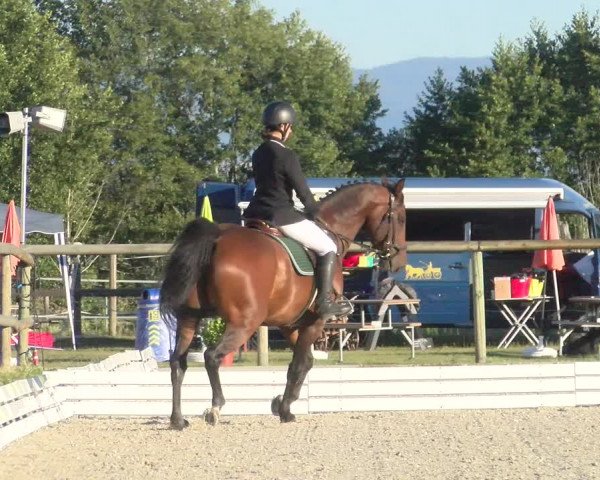 Reitturnier Dompierre 2022