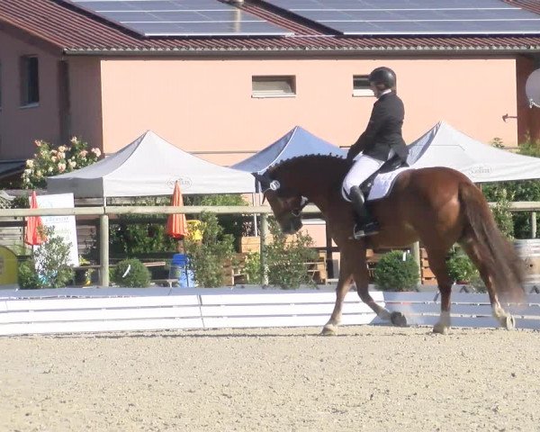 Reitturnier Dompierre 2022