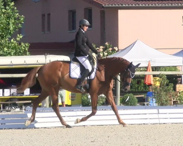 Reitturnier Dompierre 2022