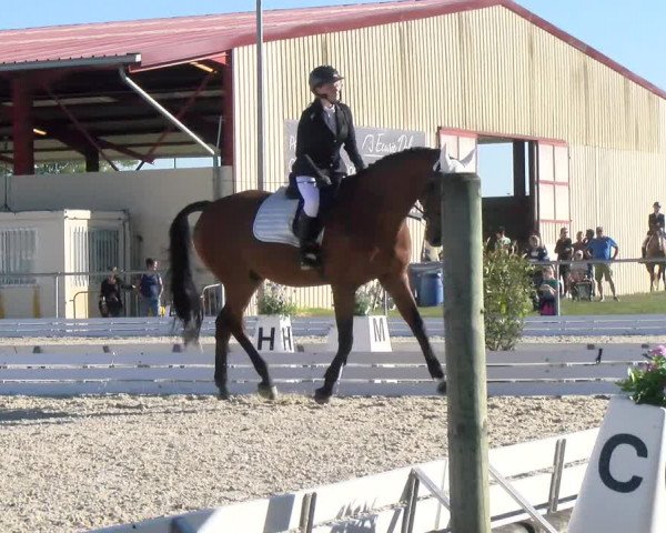 Reitturnier Dompierre 2022