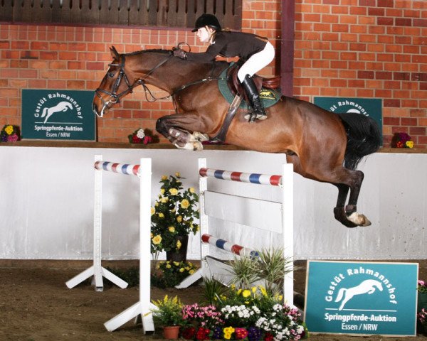 Springpferd Skat De Scellon (Selle Français, 2006, von Lupicor)