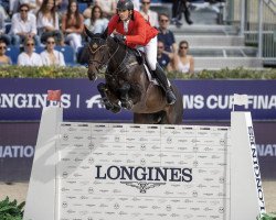 jumper Katanga V/h Dingeshof (Belgian Warmblood, 2010, from VDL Cardento 933)