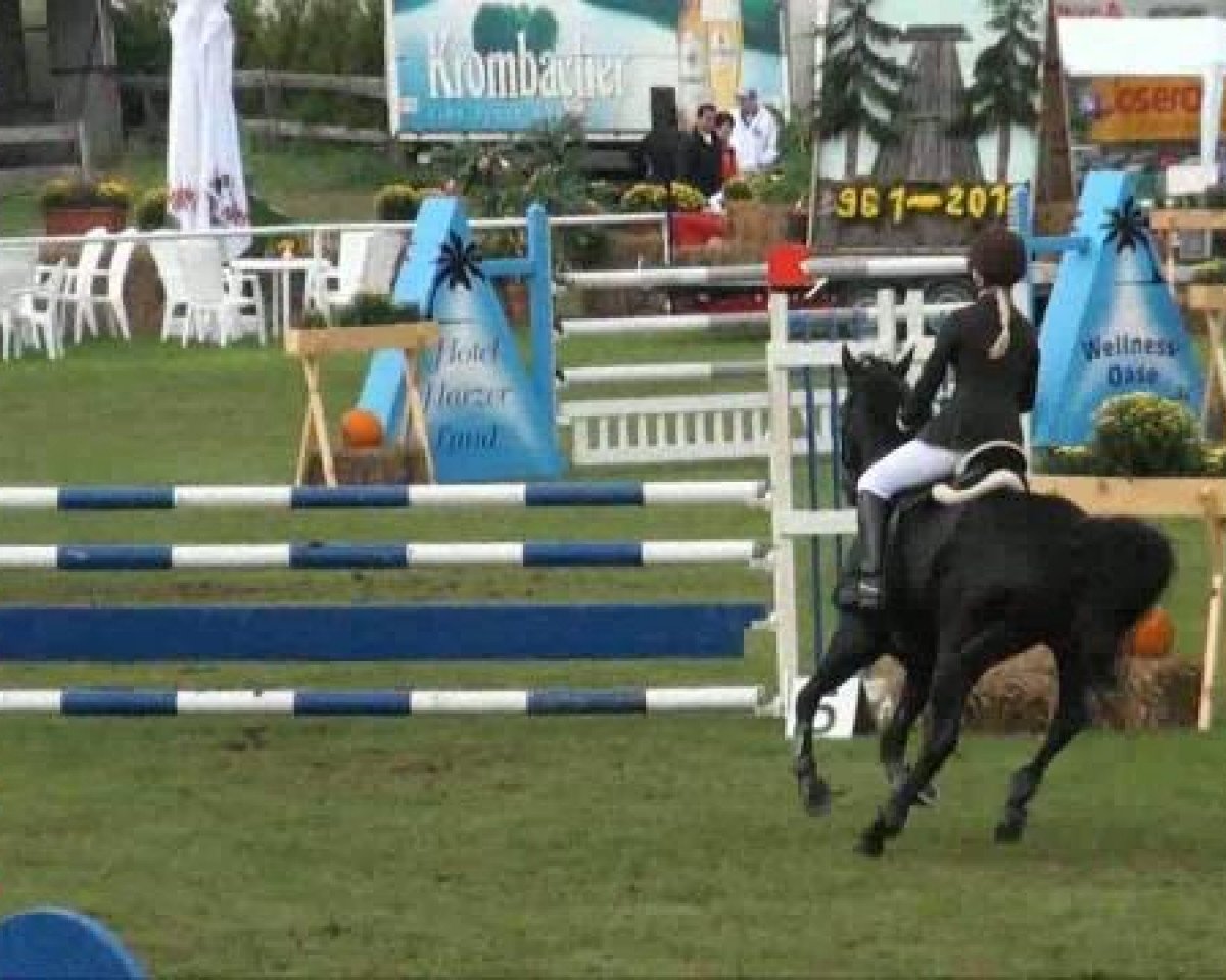 stallion Bossanova (German Riding Pony, 1990, from Bokkesprong Czardas)