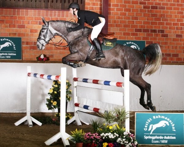 Springpferd Cayenne Von Der Held (Zweibrücker, 2007, von Calvaro van het Schoonhoudthof)