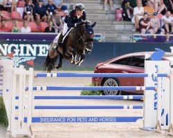 jumper Cayman Jolly Jumper (Selle Français, 2012, from Hickstead)