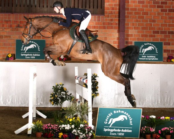 jumper Rahmannshof's Belmondo (Westphalian, 2007, from Cartouche van het Zorgvliet)