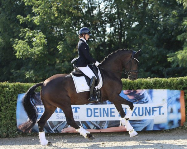 Zuchtstute Fontainebleau 33 (Westfale, 2015, von Fürstenball)