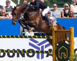 stallion Cohiba VDL (Hanoverian, 2006, from Chacco-Blue)