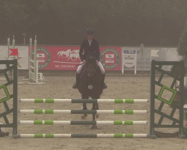 Reitturnier Schnarup-Thumby 2022
