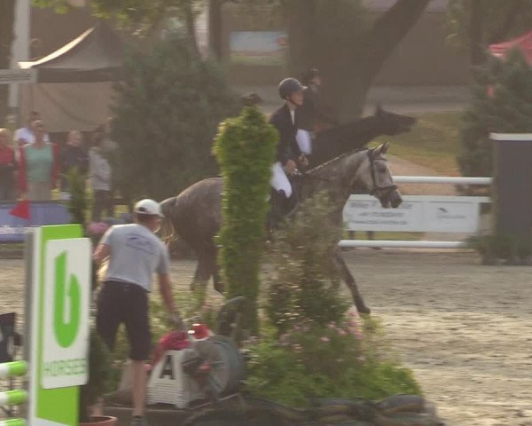 Reitturnier Schnarup-Thumby 2022