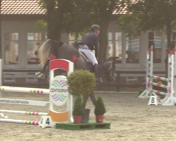 Reitturnier Schnarup-Thumby 2022