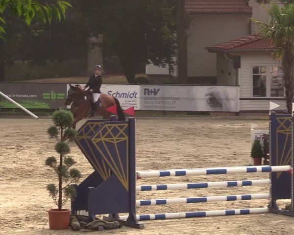 Reitturnier Schnarup-Thumby 2022