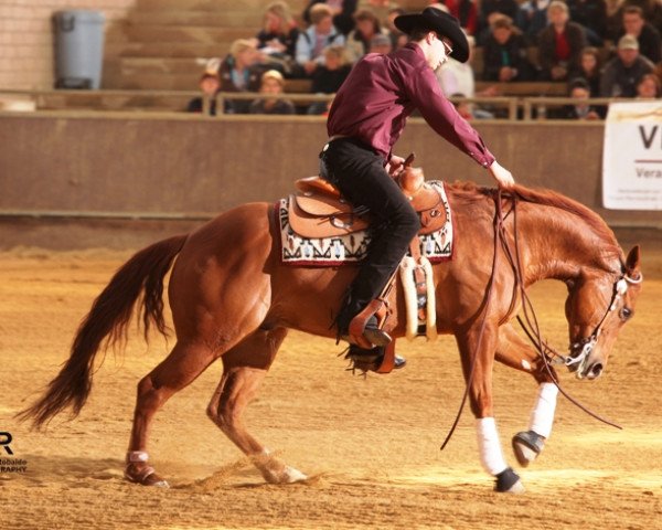 Pferd Hot Chic Dream (Quarter Horse, 2001, von Magnum Chic Dream)