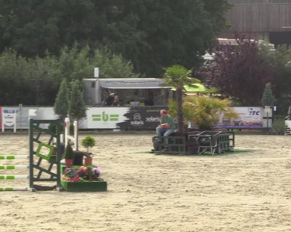Reitturnier Schnarup-Thumby 2022
