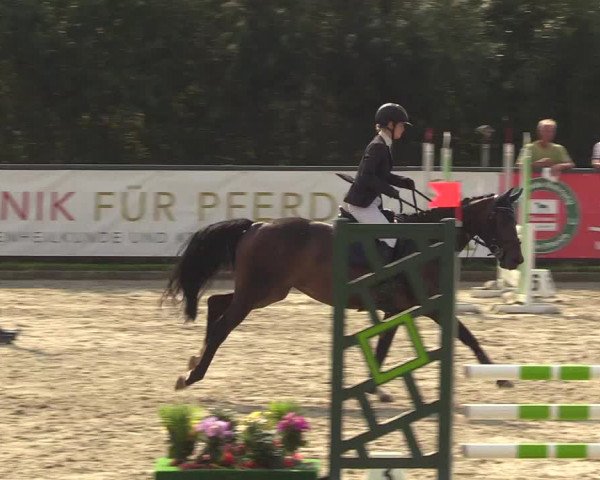 Reitturnier Schnarup-Thumby 2022
