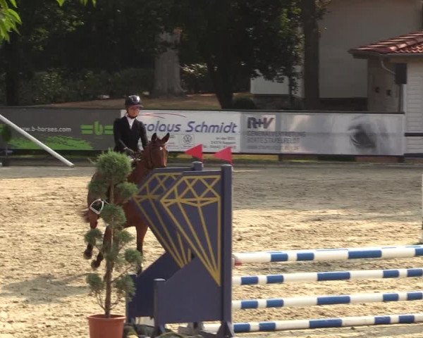 Reitturnier Schnarup-Thumby 2022