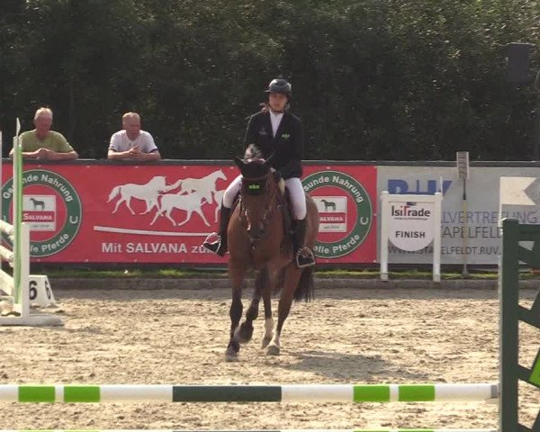 Reitturnier Schnarup-Thumby 2022