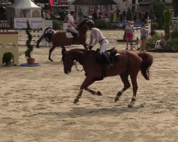 Reitturnier Schnarup-Thumby 2022