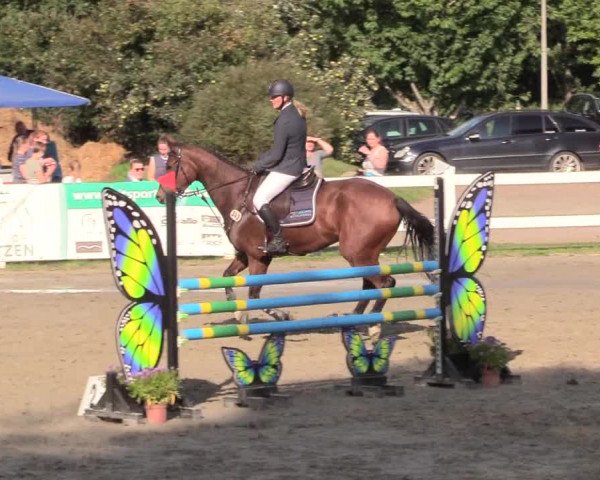 Springturnier Mildstedt 2021