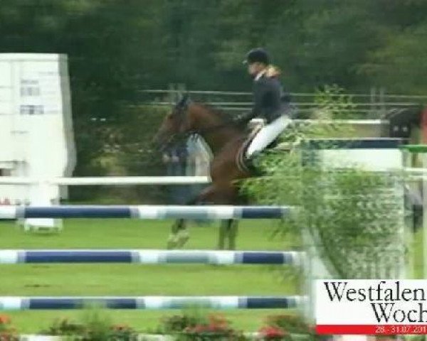 Springpferd Leon 507 (Hannoveraner, 2003, von Lafontaine)
