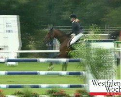 Springpferd Leon 507 (Hannoveraner, 2003, von Lafontaine)