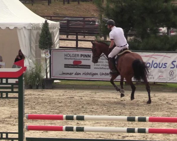 Reitturnier Schnarup-Thumby 2022