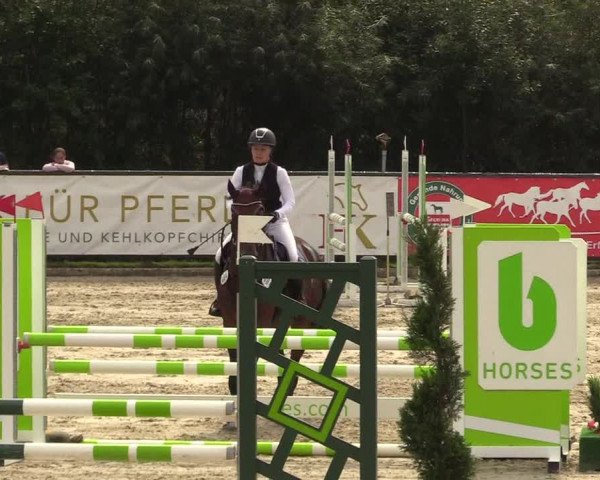 Reitturnier Schnarup-Thumby 2022