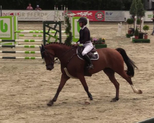 Reitturnier Schnarup-Thumby 2022
