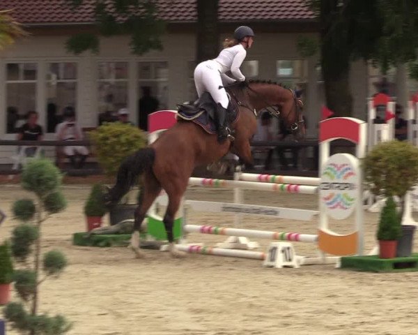 Reitturnier Schnarup-Thumby 2022