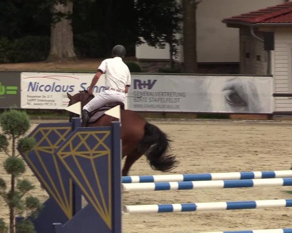 Reitturnier Schnarup-Thumby 2022
