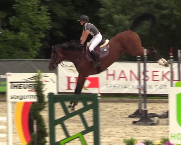 Reitturnier Schnarup-Thumby 2022