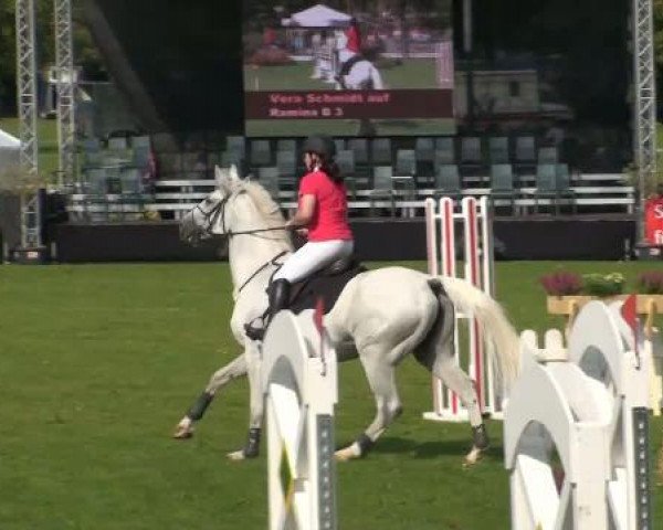 jumper Ramina B 3 (Hanoverian, 1997, from Rabino)