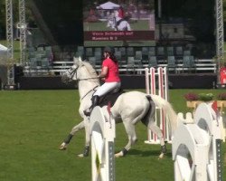 jumper Ramina B 3 (Hanoverian, 1997, from Rabino)