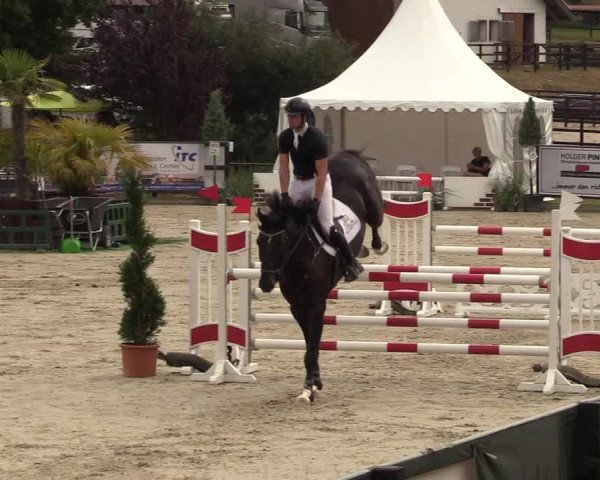 Reitturnier Schnarup-Thumby 2022