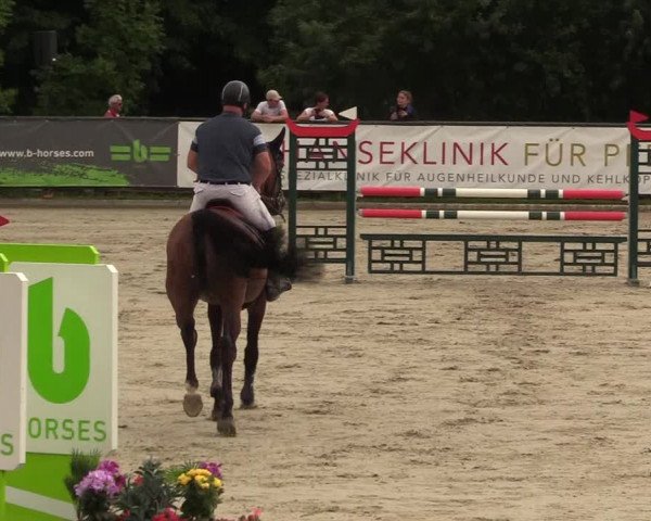 Reitturnier Schnarup-Thumby 2022