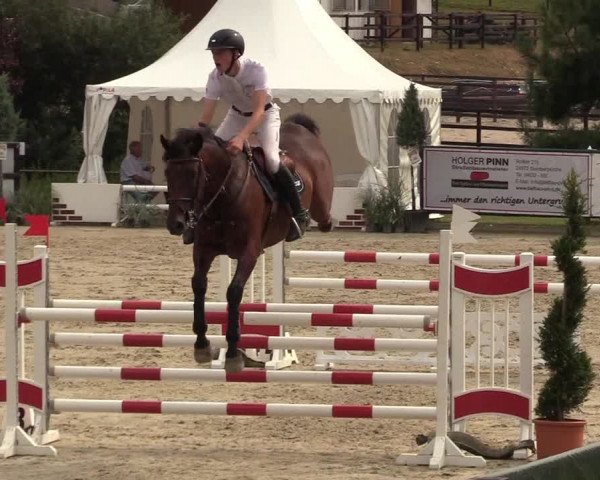Reitturnier Schnarup-Thumby 2022