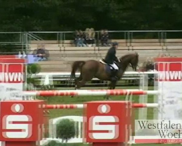 jumper Fambus (Hanoverian, 1995, from Freedom)
