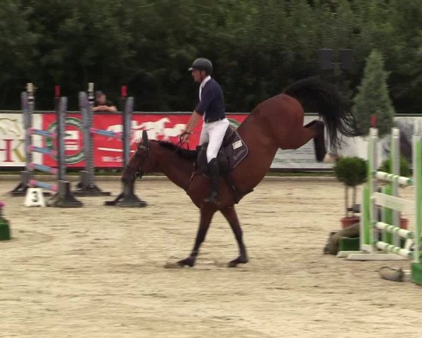 Reitturnier Schnarup-Thumby 2022