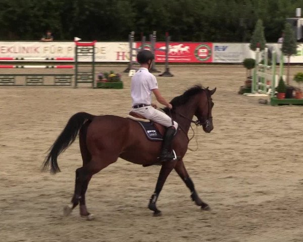 Reitturnier Schnarup-Thumby 2022
