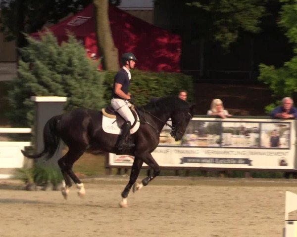 Reitturnier Schnarup-Thumby 2022