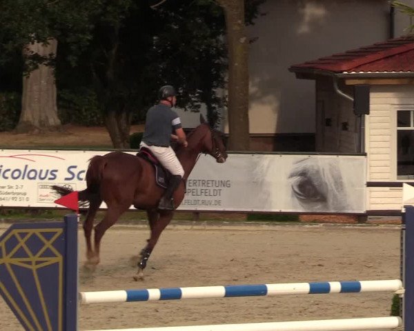 Reitturnier Schnarup-Thumby 2022