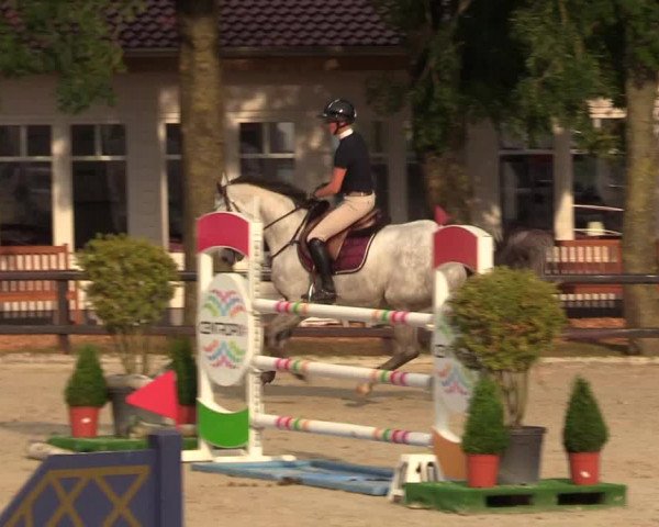 Reitturnier Schnarup-Thumby 2022