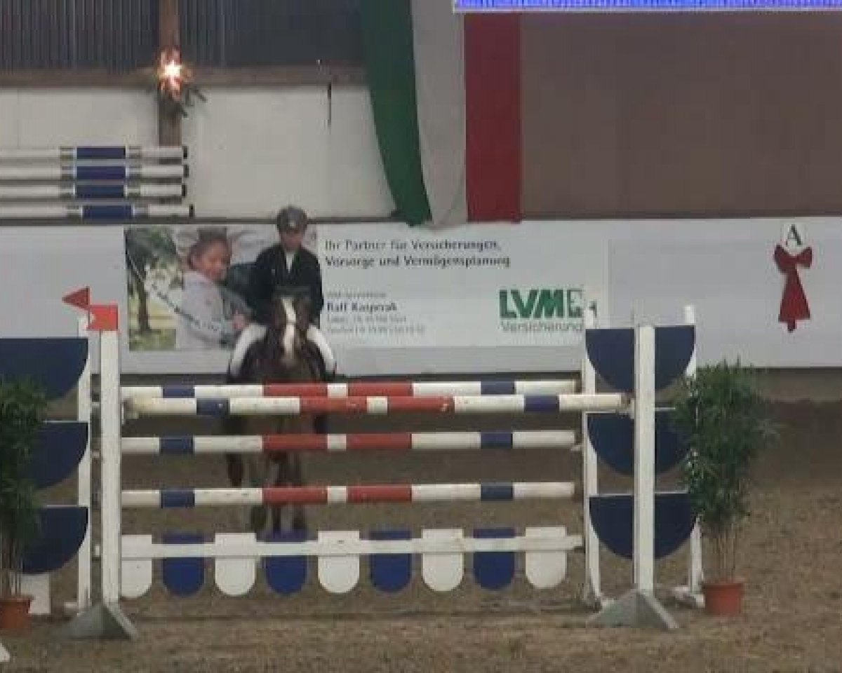 jumper Exitos Pleasure (Hanoverian, 2004, from Embassy I)