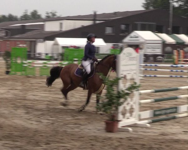Reitturnier Datteln 2022