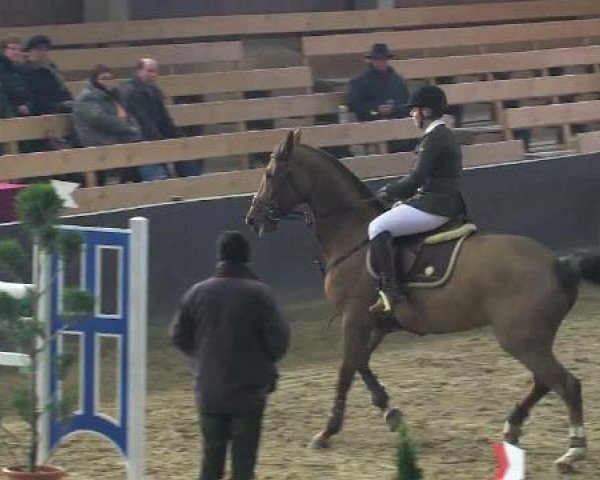 broodmare Choco la petite (Oldenburg, 2003, from Couleur Rubin)