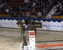 dressage horse Dirty Harry 51 (Westphalian, 2004, from Diego Garcia)